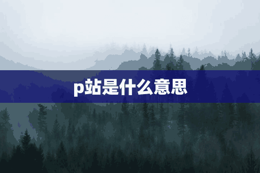 p站是什么意思(重启p站是什么意思)